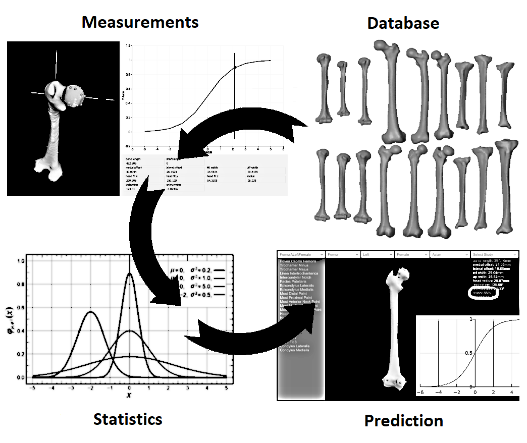  Determination of Ethnic Groups with Multivariate Statistics 